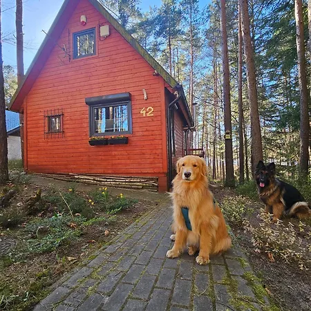 W Lesie Przy Jeziorze * Kamien (Pomerania)