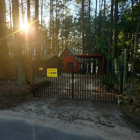 W Lesie Przy Jeziorze Kamien (Pomerania)